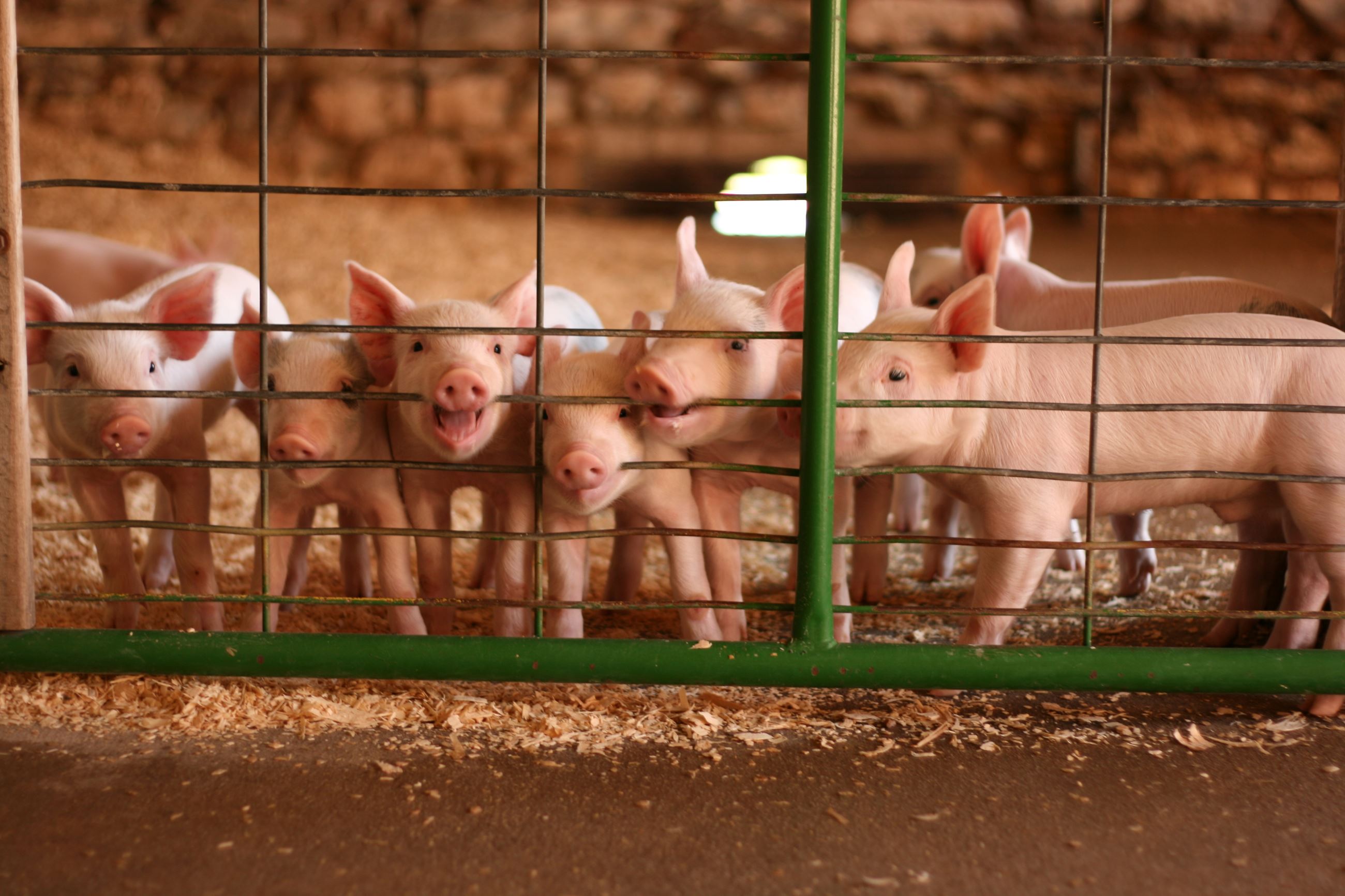 2nd place.mag photo contest.full sz