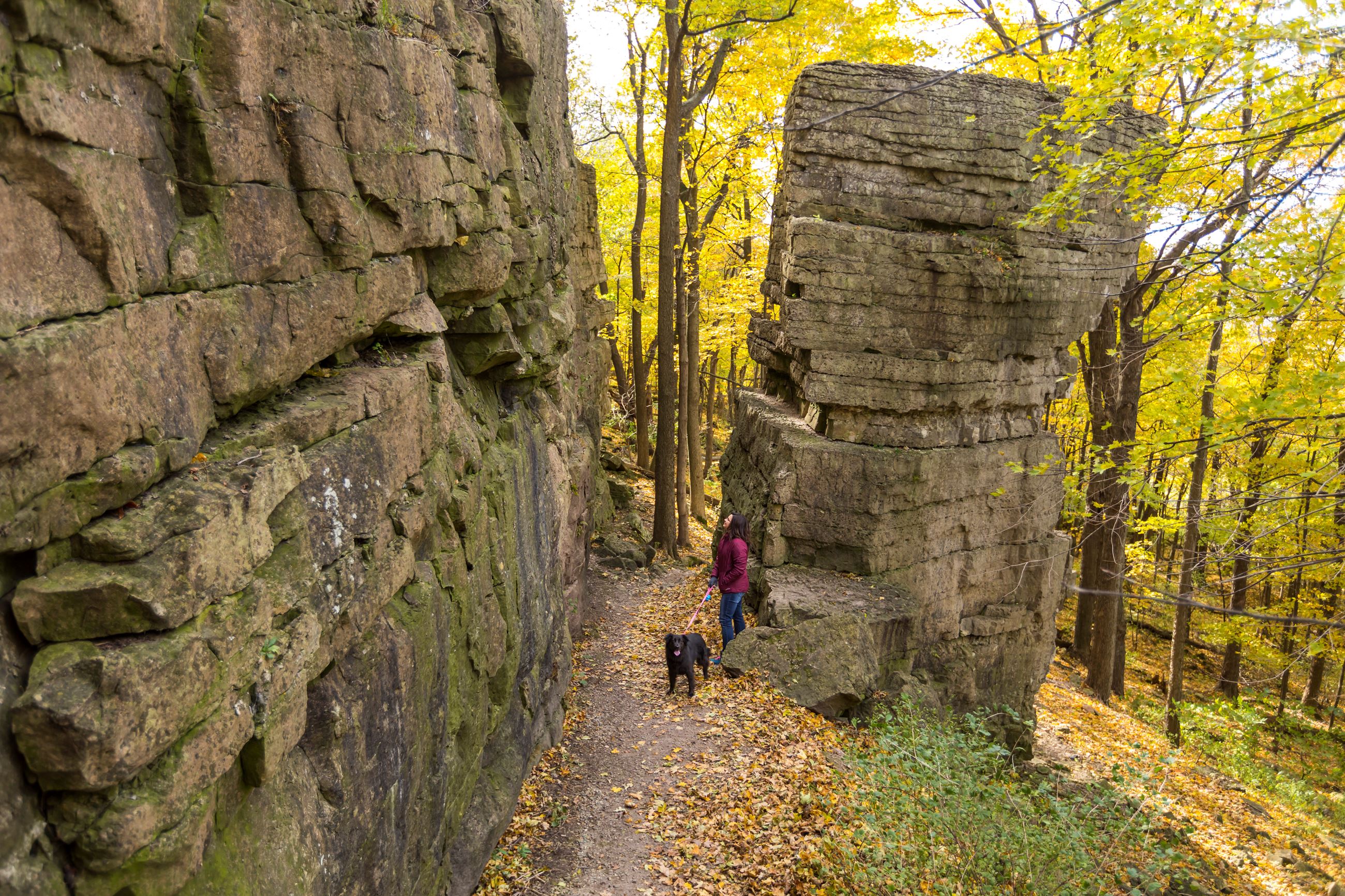 9001 High Cliff State Park