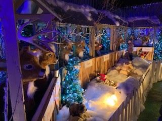 Animated reindeer display